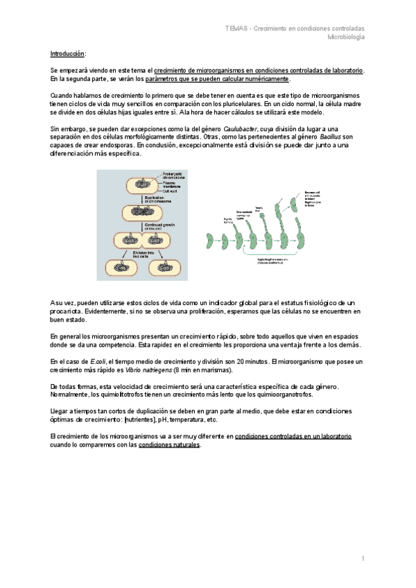 Miniatura del documento TEMA-8-Crecimiento-en-condiciones-controladas.pdf