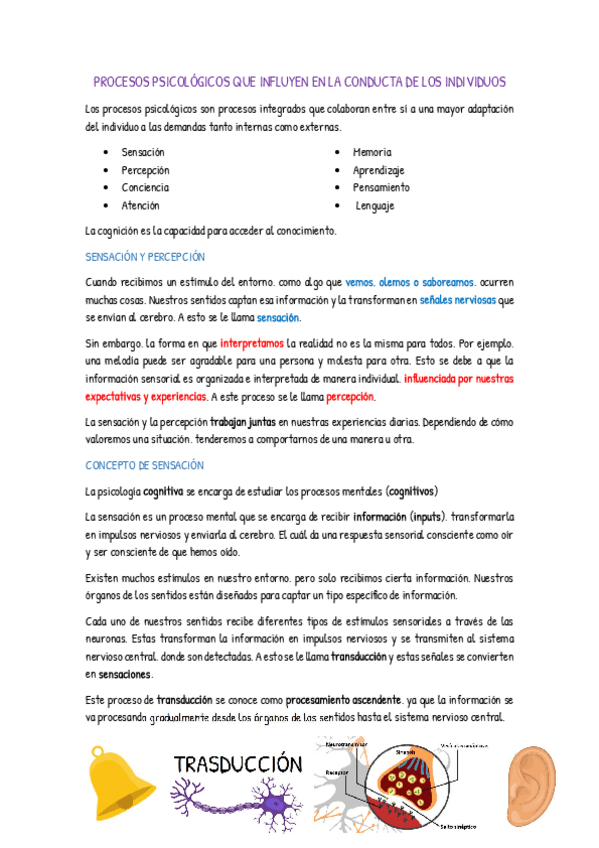 Miniatura del documento Procesos-que-influyen-en-la-conducta-de-los-individuos.pdf