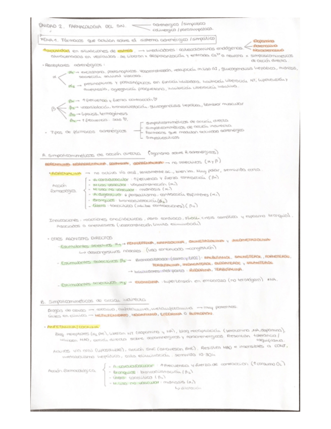 Miniatura del documento UNIDAD-2.-FARMACOLOGIA-DEL-SN..pdf
