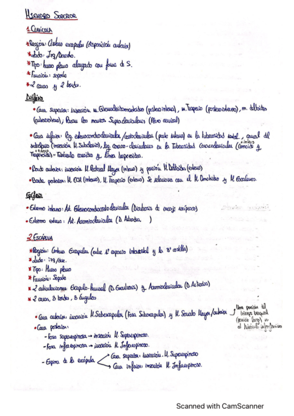 Miniatura del documento EXAMEN-PRACTICO-MIEMBRO-SUPERIOR.pdf