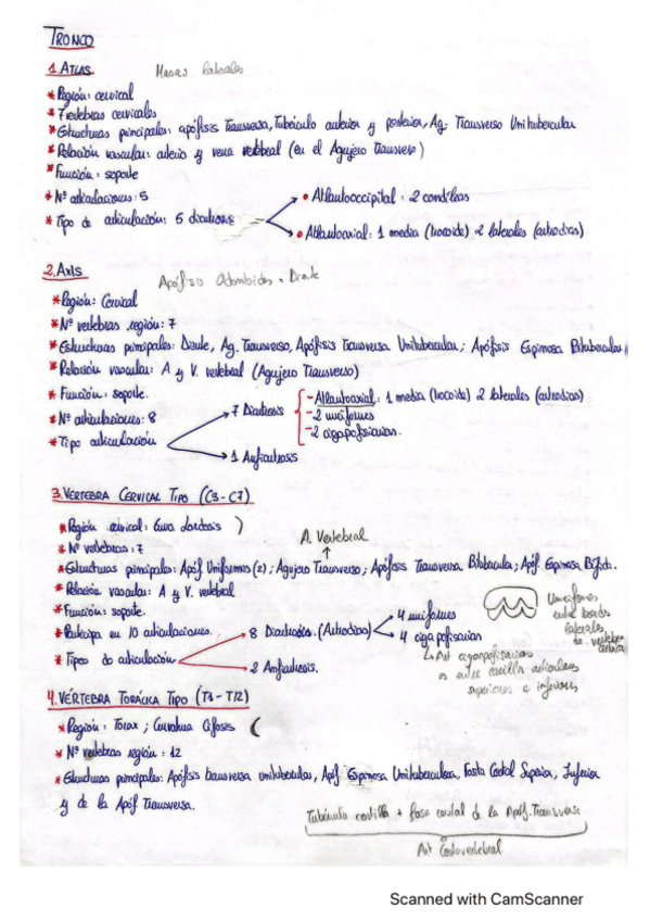 Miniatura del documento EXAMEN-PRACTICO-TRONCO.pdf