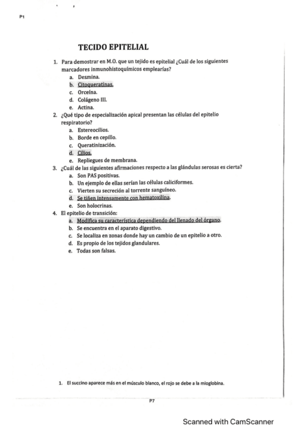 Miniatura del documento PREGUNTAS-TEJIDO-EPITELIAL.pdf