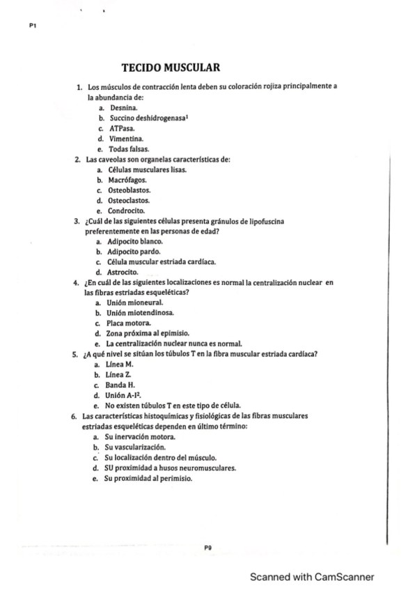 Miniatura del documento PREGUNTAS-TEJIDO-MUSCULAR.pdf