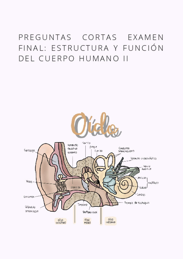 Miniatura del documento Preguntas-cortas-EYFCHII.pdf