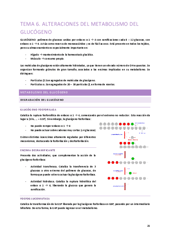 Miniatura del documento Tema-6.-Alteraciones-del-metabolismo-del-glucogeno.pdf