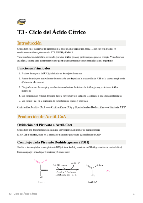 Miniatura del documento T3-Ciclo-del-Acido-Citrico.pdf