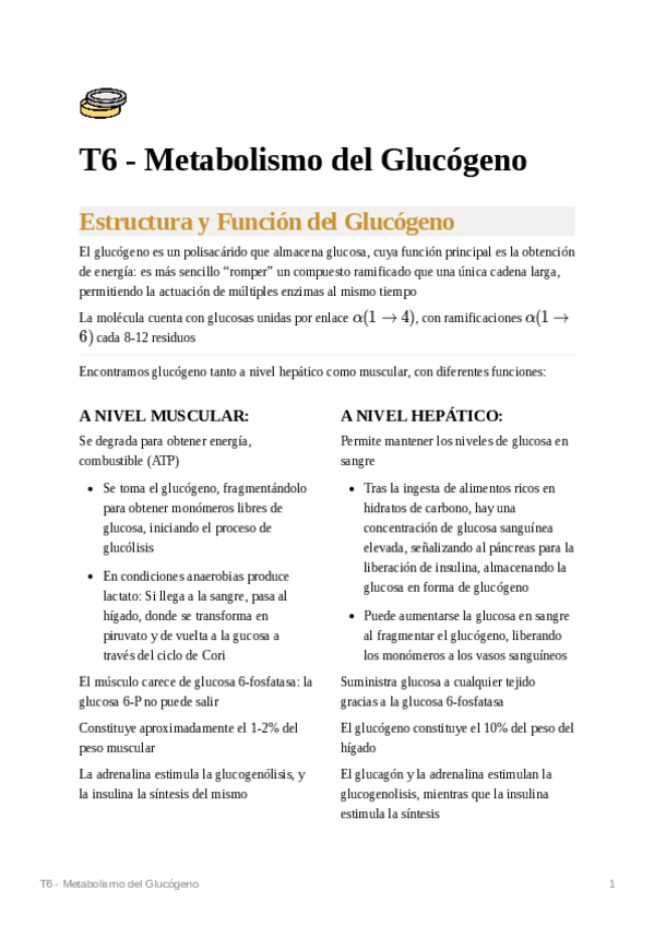 Miniatura del documento T6-Metabolismo-del-Glucogeno.pdf