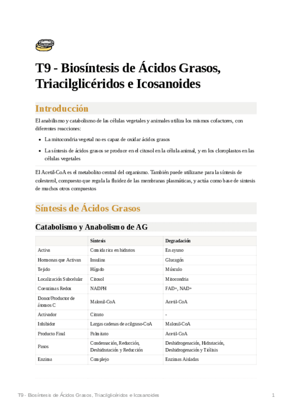 Miniatura del documento T9-Biosintesis-de-Acidos-Grasos-Triacilgliceridos-e-Icosanoides.pdf