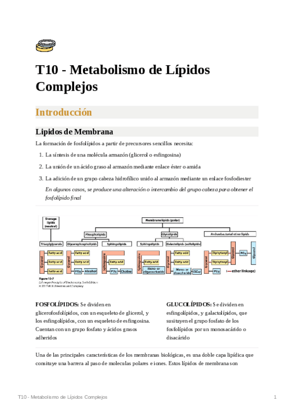 Miniatura del documento T10-Metabolismo-de-Lipidos-Complejos.pdf