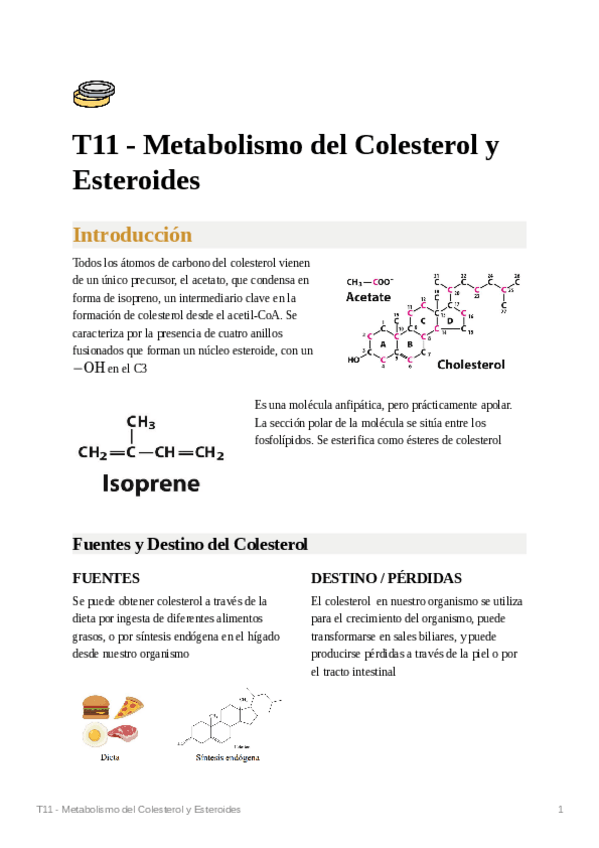 Miniatura del documento T11-Metabolismo-del-Colesterol-y-Esteroides.pdf
