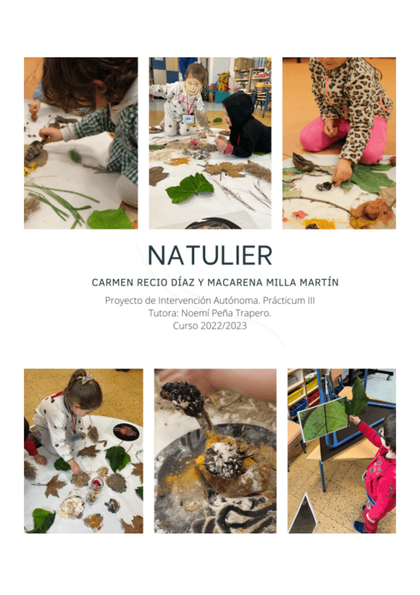 Miniatura del documento MILLA-MARTIN-MACARENAPROYECTO-DE-INTERVENCION-AUTONOMAPRACTICUM-III.pdf