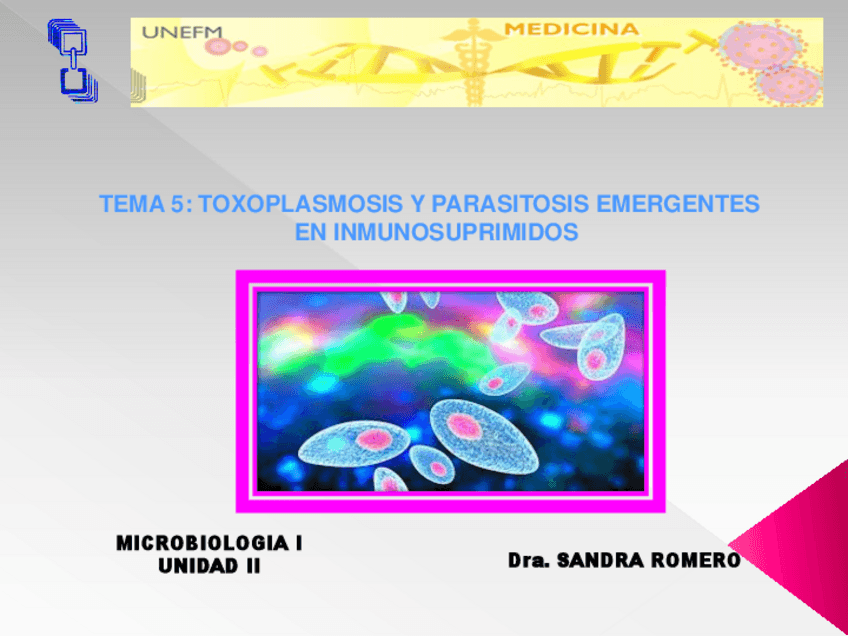 Miniatura del documento TOXOPLASMOSIS Y MÁS PARASITOSIS.pdf