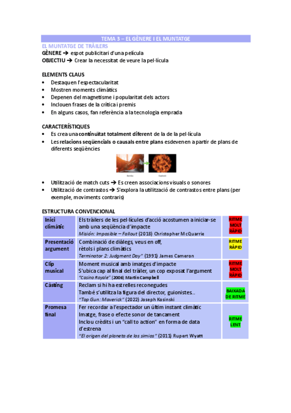 Miniatura del documento T3-El-Genere-i-el-Muntatge.pdf