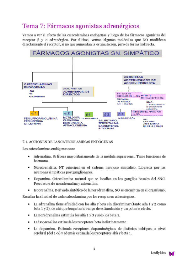Miniatura del documento Tema 7 farma II.pdf