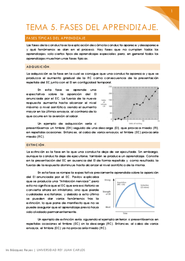 Miniatura del documento TEMA 5. FASES DEL APRENDIZAJE.pdf
