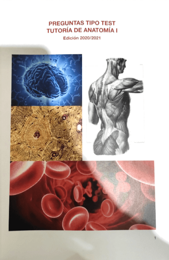 Miniatura del documento CUADERNILLO-ANATO-1.pdf