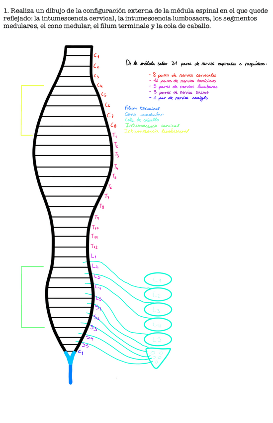 Miniatura del documento Practica-3.pdf