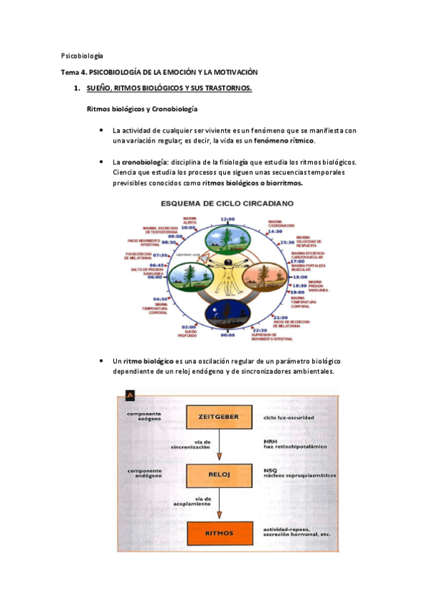 Miniatura del documento Psicobiologia-T4.pdf