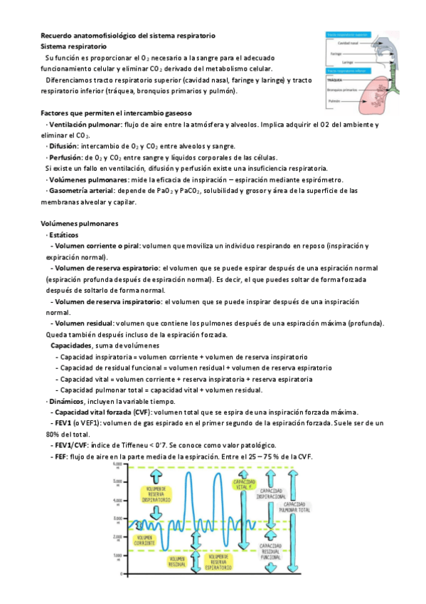Miniatura del documento Recuerdo-anatomofisiologico-del-sistema-respiratorio.pdf