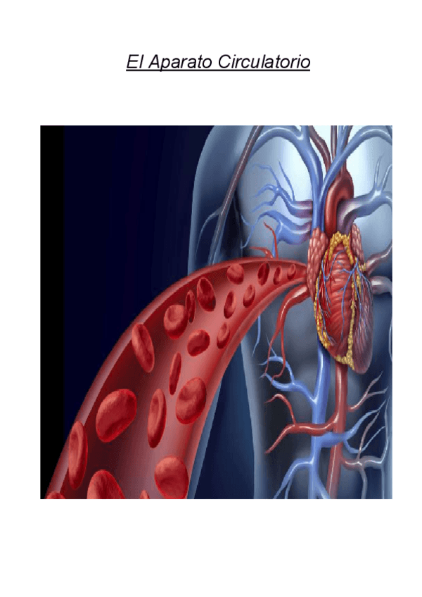 Miniatura del documento Aparato-Circulatorio.pdf