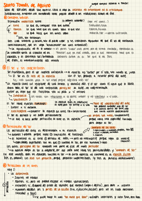 Miniatura del documento RESUMEN-Santo-Tomas.pdf