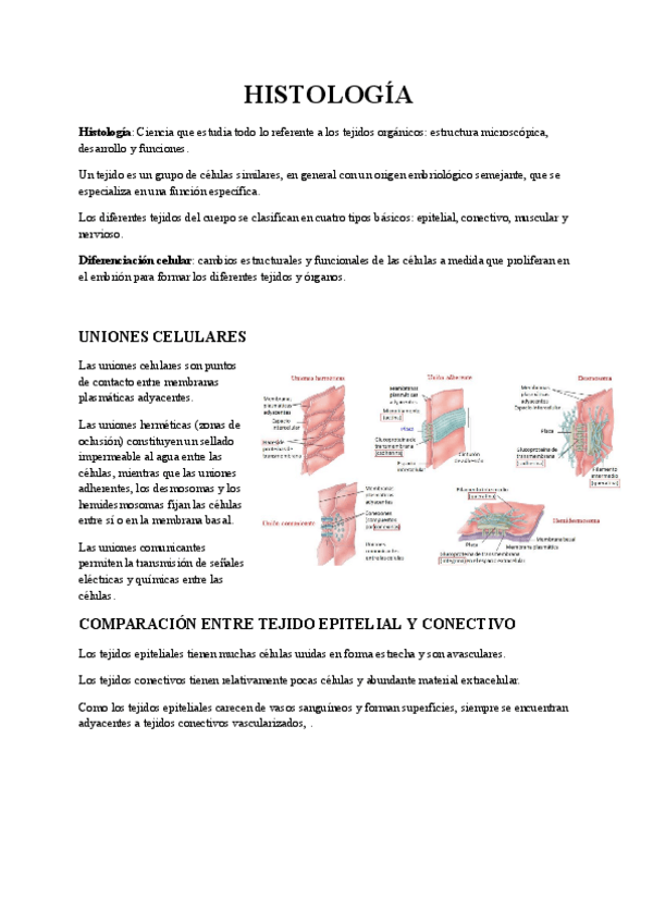 Miniatura del documento tema-4-HISTOLOGIA.pdf