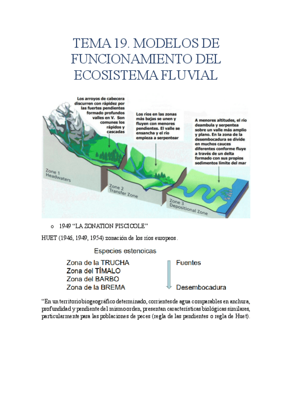 Miniatura del documento TEMA-19.-MODELOS-DE-FUNCIONAMIENTO-DEL-ECOSISTEMA-FLUVIAL.pdf