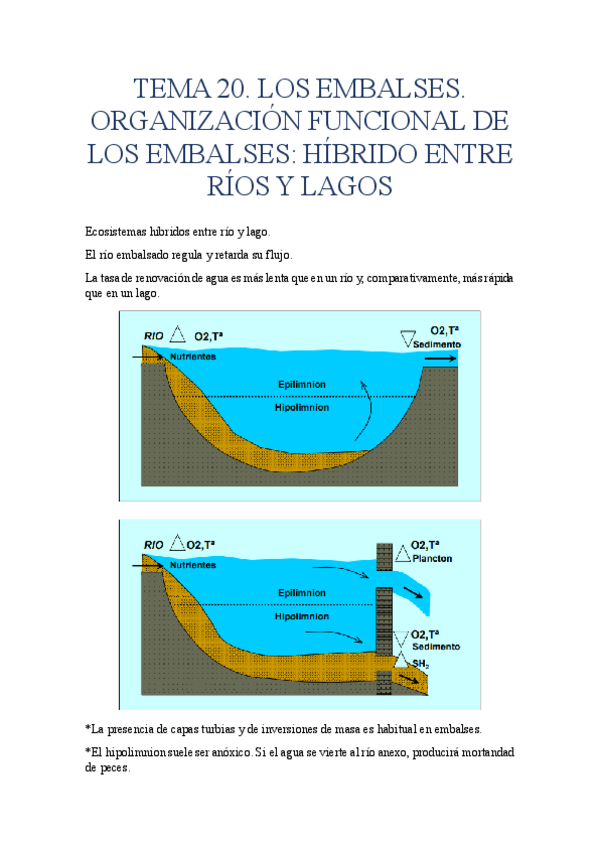Miniatura del documento TEMA-20.-LOS-EMBALSES.-ORGANIZACION-FUNCIONAL-DE-LOS-EMBALSES.pdf