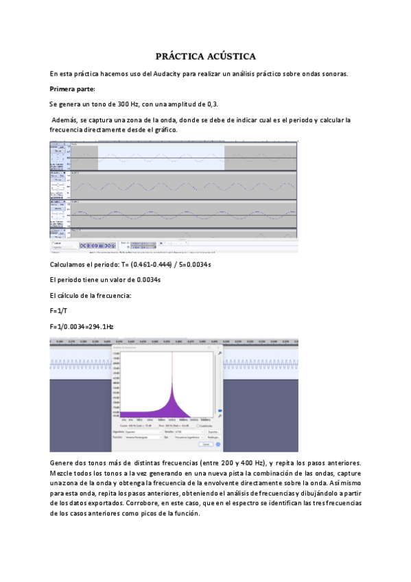 Miniatura del documento Practica-acustica.pdf