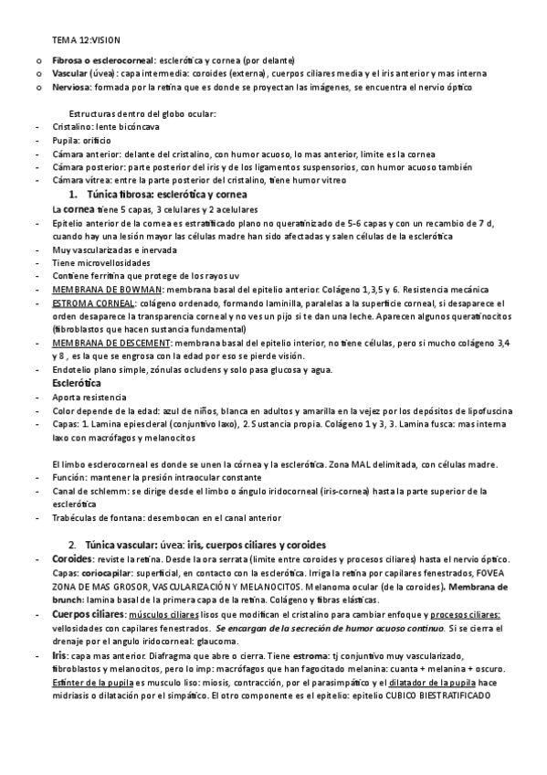 Miniatura del documento TEMA-12-vision.pdf