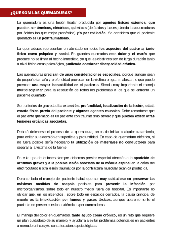 Miniatura del documento QUEMADURAS.pdf