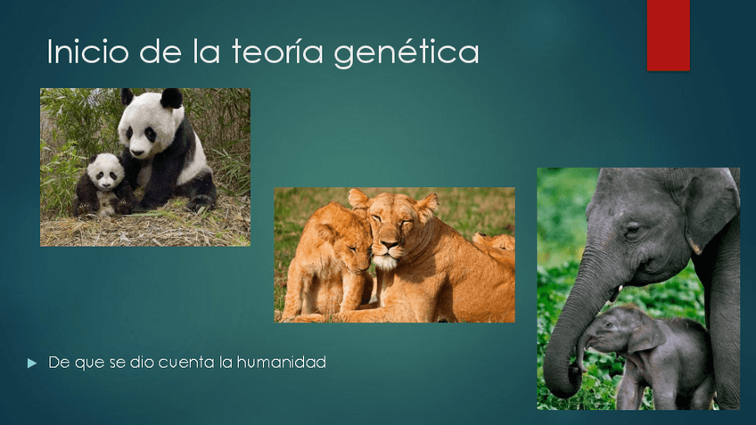 Miniatura del documento Bases-Mendelianas-de-la-genetica-clinica.pptx-1.pdf