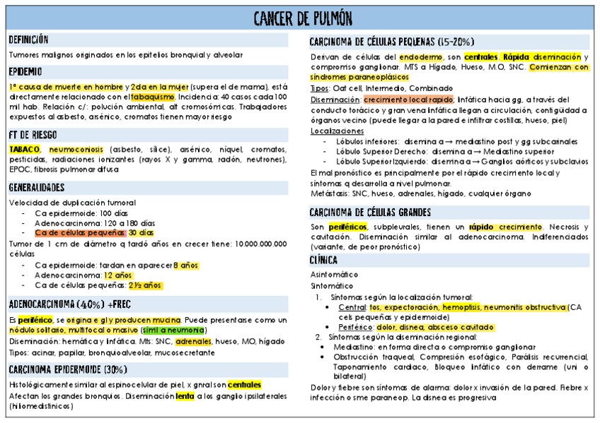 Miniatura del documento cancer-de-pulmon.pdf