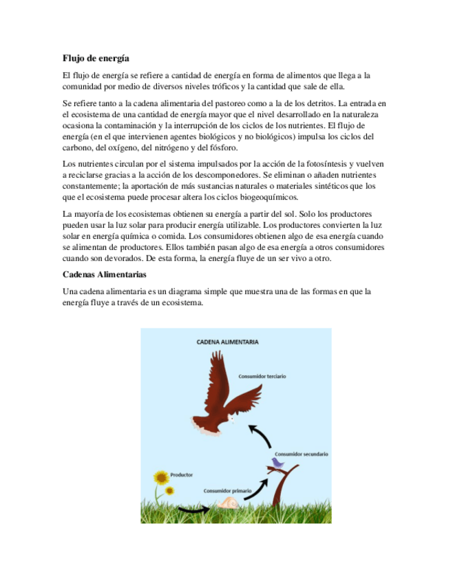 Miniatura del documento Flujo-de-energia.pdf