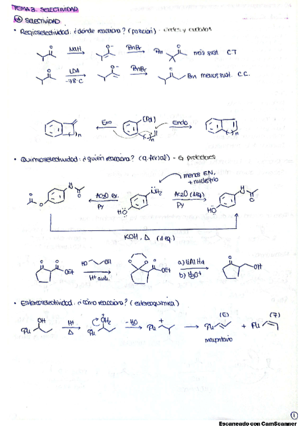 Miniatura del documento Tema-3.-Selectividad.pdf