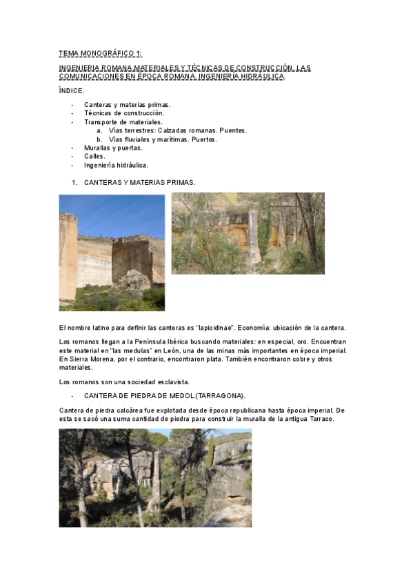 Miniatura del documento Tema-monografico-1.pdf