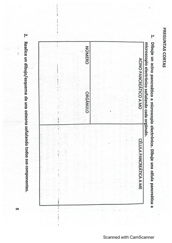 Miniatura del documento Preguntas-cortas-examen-biocel-2019.pdf