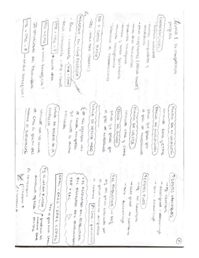 Miniatura del documento Esquemas-tema-1-10.pdf