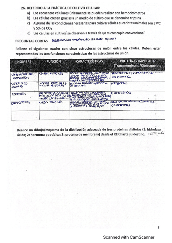 Miniatura del documento Preguntas-cortas-biocel-final-2019.pdf