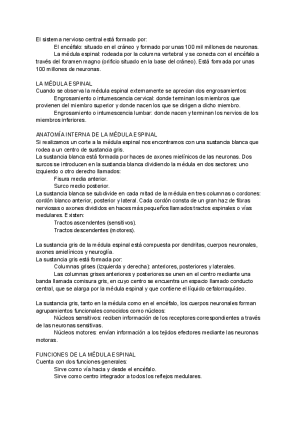 Miniatura del documento SISTEMA-NERVIOSO-CENTRAL.pdf