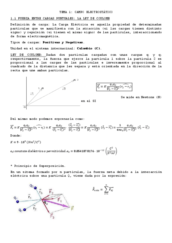 Miniatura del documento TEMA_1.pdf
