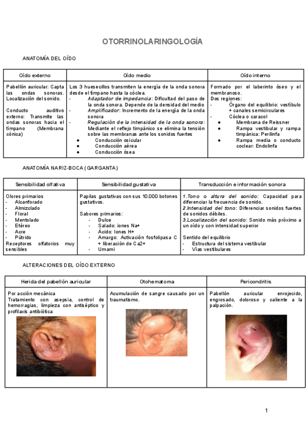 Miniatura del documento OTORRINOLARINGOLOGIA-1.pdf