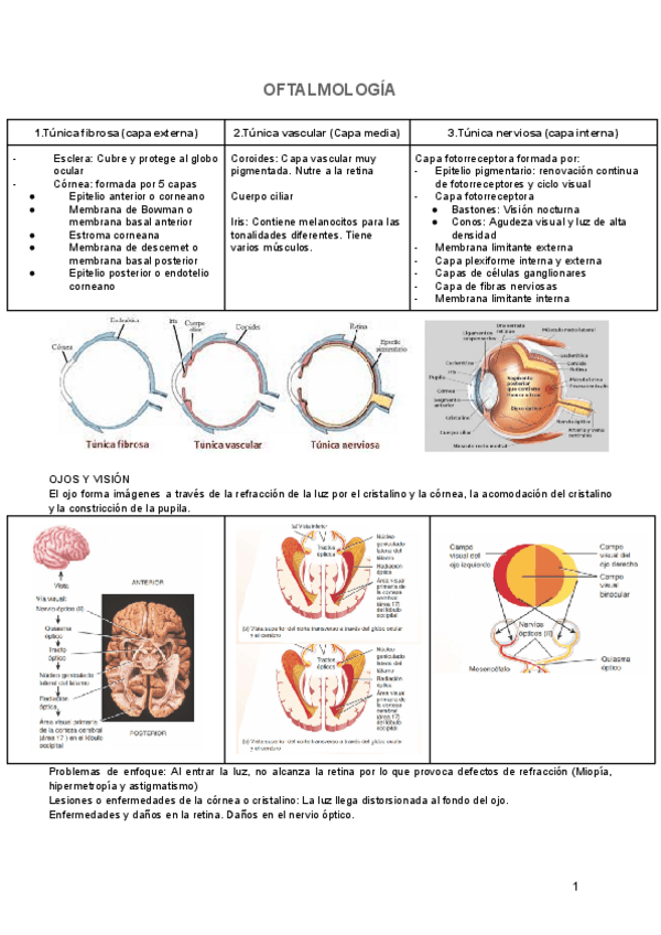 Miniatura del documento OFTALMOLOGIA.pdf