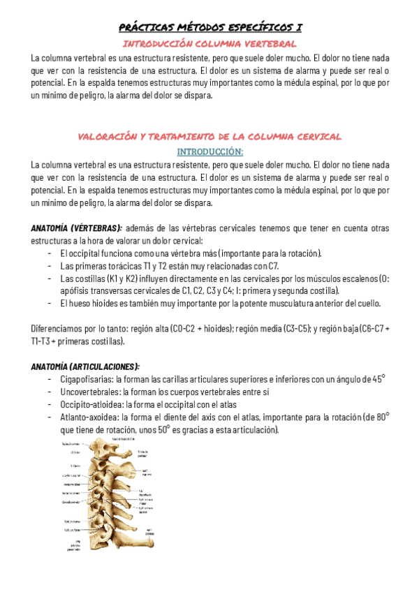 Miniatura del documento PRACTICAS-METODOS-ESPECIFICOS-I.pdf