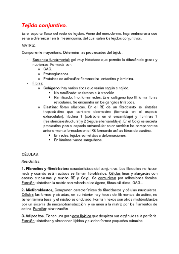 Miniatura del documento apuntes-histologia-tejido-conjuntivo.pdf