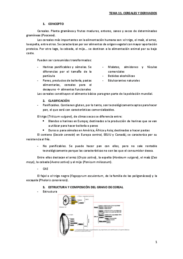 Miniatura del documento TEMA 11. CEREALES Y DERIVADOS.pdf