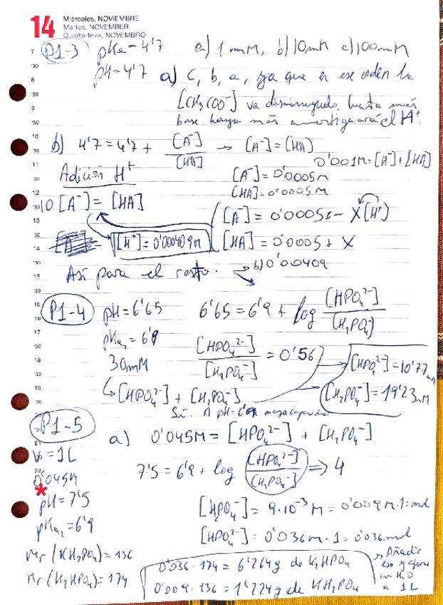 Miniatura del documento Problemas-Tampones-Resueltos-BQ.pdf