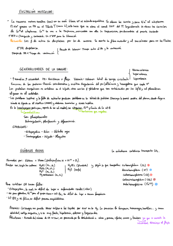 Miniatura del documento Conceptos-fisio-importante.pdf