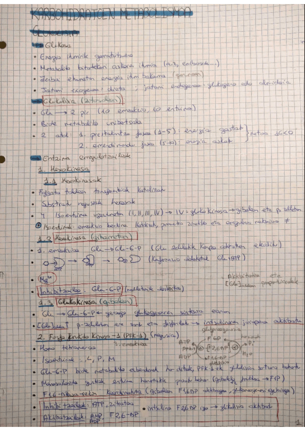 Miniatura del documento bioki-ll-teoria.pdf