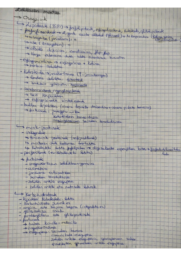 Miniatura del documento biozel-teoria.pdf